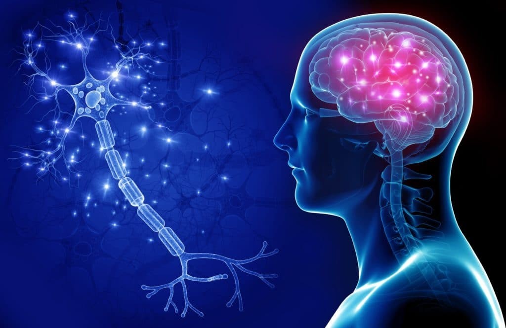 Neurotechnology Industry