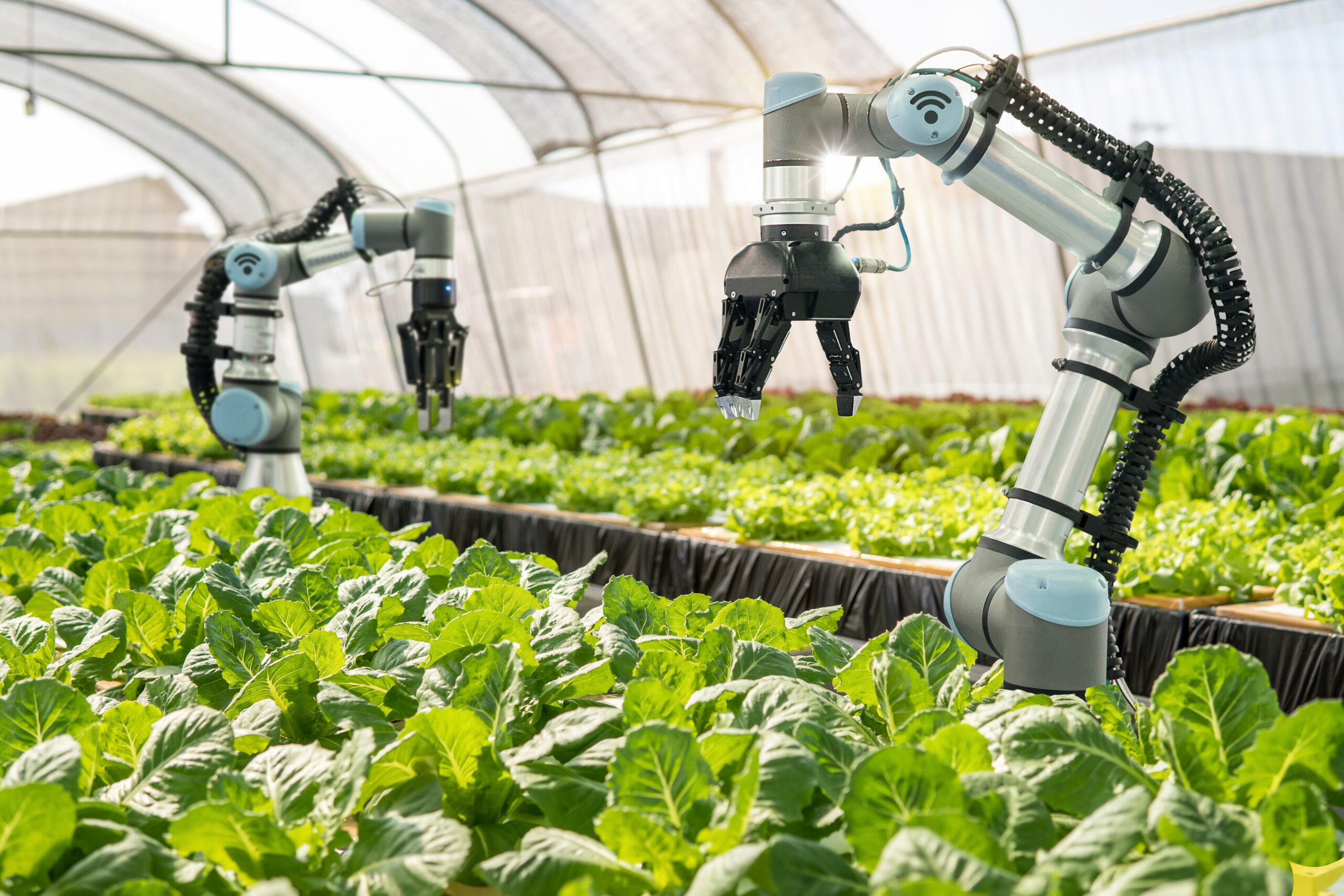 AgTech Industry